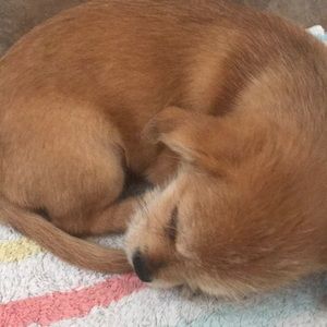 Meet your Posher, Layaparrondo